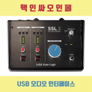 Solid State Logic SSL2/오디오 인터페이스/보컬녹음장비/작곡미디장비
