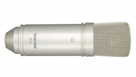 TASCAM TM-80/Condenser microphone